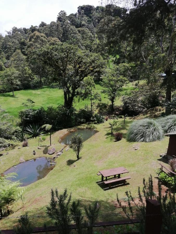 Monteverde Casa Mia, Near Main Attractions And Town! Экстерьер фото
