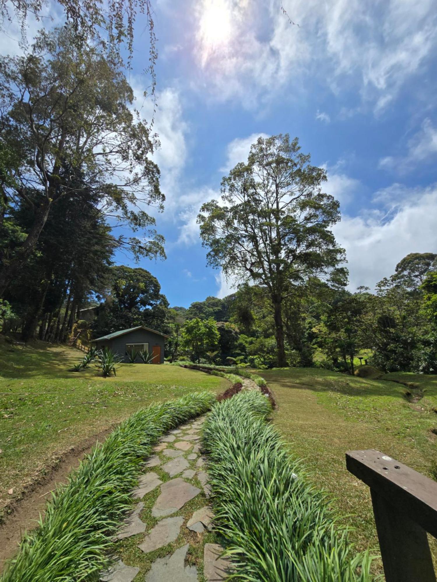 Monteverde Casa Mia, Near Main Attractions And Town! Экстерьер фото