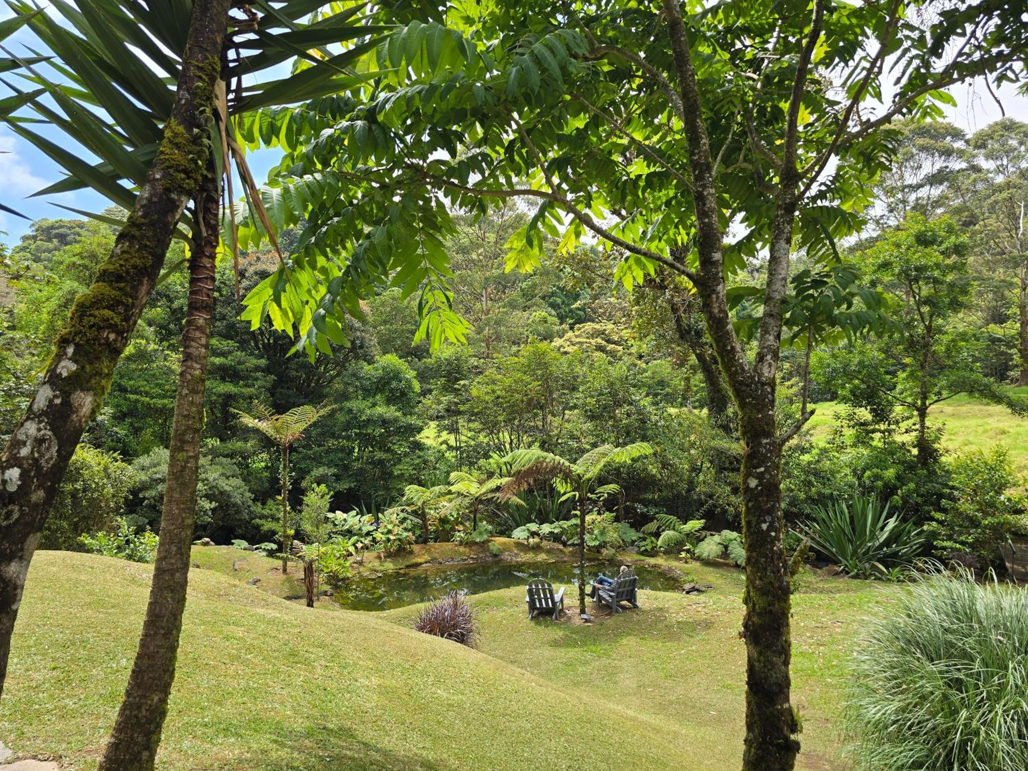 Monteverde Casa Mia, Near Main Attractions And Town! Экстерьер фото