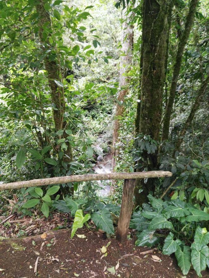 Monteverde Casa Mia, Near Main Attractions And Town! Экстерьер фото